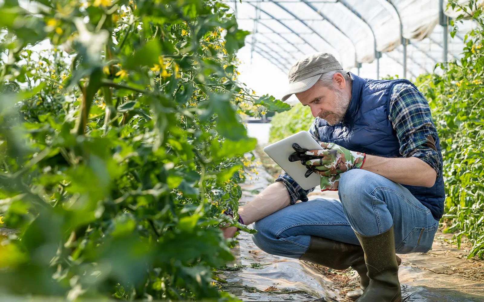 SOPs for Safe Production