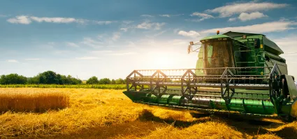 Growing Crops