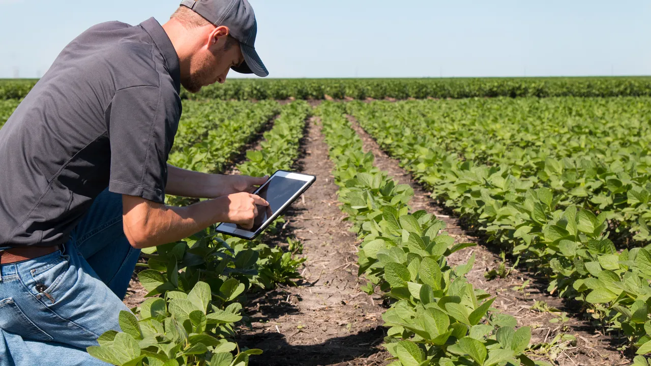 Why Choose Plant Disease Diagnosis