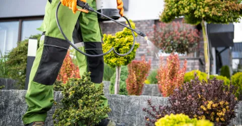 Integrated Pest Management